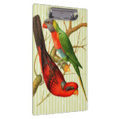 ヴィンテージレッド&カラフルグリーンパロッツイラストレーション クリップボード (右)