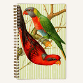 ヴィンテージレッド&カラフルグリーンパロッツイラストレーション ノートブック (正面)