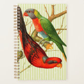 ヴィンテージレッド&カラフルグリーンパロッツイラストレーション プランナー手帳 (正面)