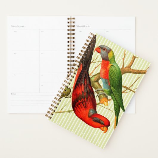 ヴィンテージレッド&カラフルグリーンパロッツイラストレーション プランナー手帳 (ディスプレー)