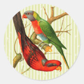 ヴィンテージレッド&カラフルグリーンパロッツイラストレーション ラウンドシール (正面)