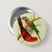 ヴィンテージレッド&カラフルグリーンパロッツイラストレーション 缶バッジ (正面&裏面)