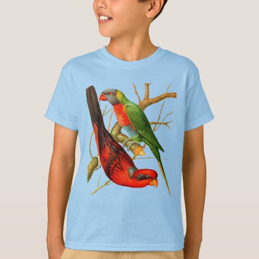 ヴィンテージレッド&カラフルグリーンパロッツイラストレーション Tシャツ (正面)