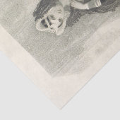 ヴィンテージレディオリヴィアブラックアンドホワイトティッシュペーパー 薄葉紙 (詳細)