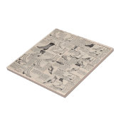 ヴィンテージレディースシューズカタログ – 1900sファッション タイル (側面)