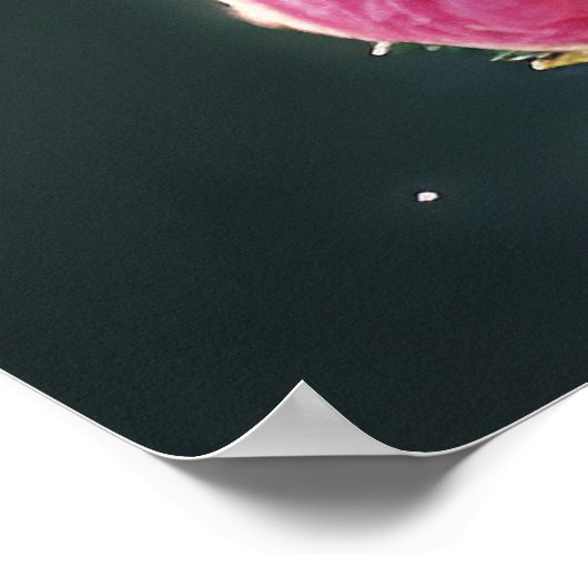 ヴィンテージレディーフェアリー女王バラ花 ポスター (角)