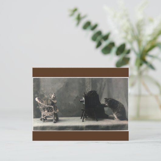 ヴィンテージレトロの猫写真撮影 ポストカード (スタンド正面)