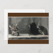 ヴィンテージレトロの猫写真撮影 ポストカード (正面/裏面)