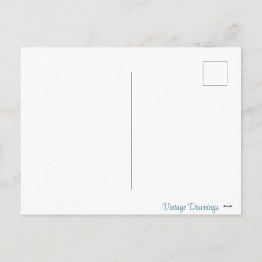 ヴィンテージレトロイースターバニー シーズンポストカード (裏面)