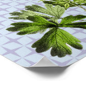 ヴィンテージレトロオダマキ（植物）フローラポスター ポスター (角)