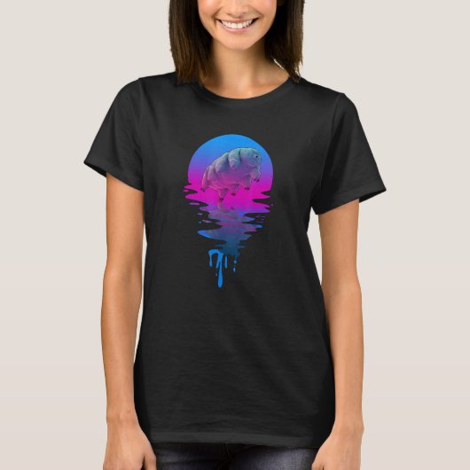 ヴィンテージレトロサンセットタルディグレード Tシャツ (正面)