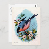 ヴィンテージレトロバードオン枝はがき ポストカード (正面/裏面)