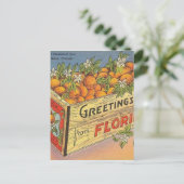 ヴィンテージレトロフロリダオレンジ ポストカード (スタンド正面)