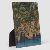 ヴィンテージレトロフロリダサイプレスガーデンズ フォトプラーク (側面)