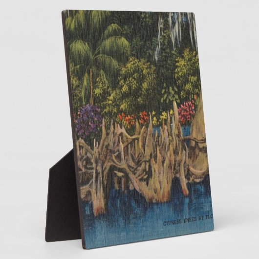 ヴィンテージレトロフロリダサイプレスガーデンズ フォトプラーク (側面)