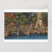 ヴィンテージレトロフロリダサイプレスガーデンズ ポストカード (正面)