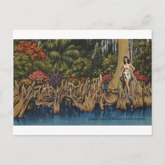 ヴィンテージレトロフロリダサイプレスガーデンズ ポストカード (正面)