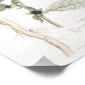 ヴィンテージレトロボタニカルスケッチウォールアートデコール ポスター (角)