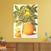 ヴィンテージレモンとポメロ植物学絵を描の キャンバスプリント (インサイチュ (リビング))