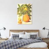 ヴィンテージレモンとポメロ植物学絵を描の キャンバスプリント (インサイチュ (寝室))
