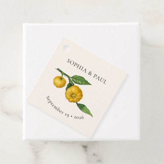 ヴィンテージレモンシトラスグリーン結婚植物園 フェイバータグ (インサイチュ)