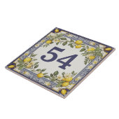 ヴィンテージレモンドアハウスナンバープレートプラーク看板 タイル (側面)