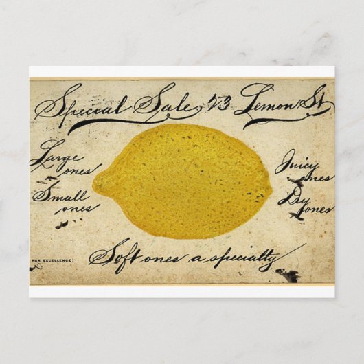ヴィンテージレモン手書きポストカード広告 ポストカード (正面)