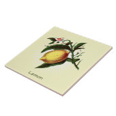 ヴィンテージレモン果実植物芸術セラミックタイル タイル (側面)