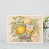 ヴィンテージレモン柑橘類フルーツスケッチスクラップブックページ (スタンド正面)