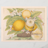 ヴィンテージレモン柑橘類フルーツスケッチスクラップブックページ (正面)