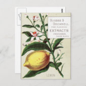 ヴィンテージレモン ポストカード (正面/裏面)