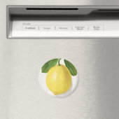 ヴィンテージレモン マグネット (インサイチュ (食洗機))