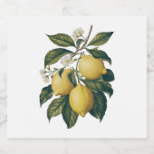 ヴィンテージレモン リキュールボトルラベル (シングルラベル)