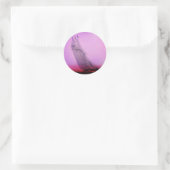 ヴィンテージレーシングヨットシール ラウンドシール (バッグ)