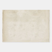 ヴィンテージレースの外観 ラッピングペーパーシート (正面)