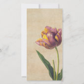 ヴィンテージレースチューリップ悔やみや弔慰サンキューフォトカード サンキューカード (裏面)