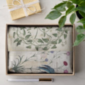 ヴィンテージロスターつる植物フランスのティッシュペーパー 薄葉紙 (ギフト)