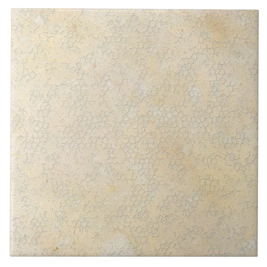 ヴィンテージロスターマッチングタンテクスチャークラックル タイル (正面)