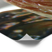 ヴィンテージロスター ポスター (角)