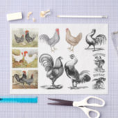 ヴィンテージロターズヘンズファームデカップコラージュ 薄葉紙 (クラフト)