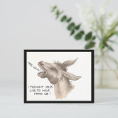 ヴィンテージロバ漫画 ポストカード (スタンド正面)