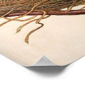 ヴィンテージロビンズエッグネストon開花樹枝 ポスター (角)