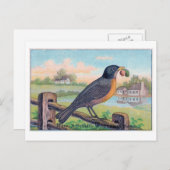 ヴィンテージロビン誕生日はがき ポストカード (正面/裏面)