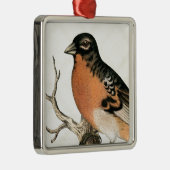 ヴィンテージロビン メタルオーナメント (右)