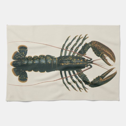 ヴィンテージロブスター、海洋海生命甲殻類 キッチンタオル (横)
