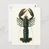 ヴィンテージロブスター、海洋海生命甲殻類 ポストカード (正面/裏面)