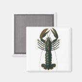 ヴィンテージロブスター、海洋海生命甲殻類 マグネット (正面/裏面)