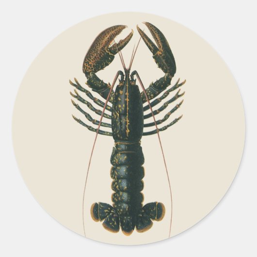 ヴィンテージロブスター、海洋海生命甲殻類 ラウンドシール (正面)