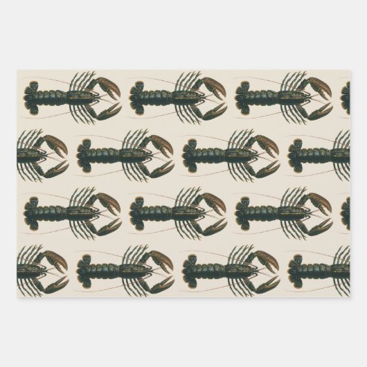 ヴィンテージロブスター、海洋海生命甲殻類 ラッピングペーパーシート (正面)