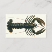 ヴィンテージロブスター、海洋海生命甲殻類 名刺 (裏面)